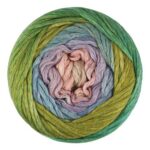Top view of cake of Cumulus Rainbow yarn in colorway 205 - Lotus Flower
