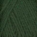 Closeup of Encore Chunky yarn swatch in colorway 1233 - greenhouse